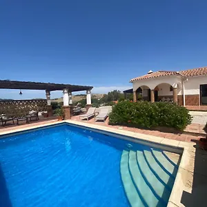 Azafran Málaga
